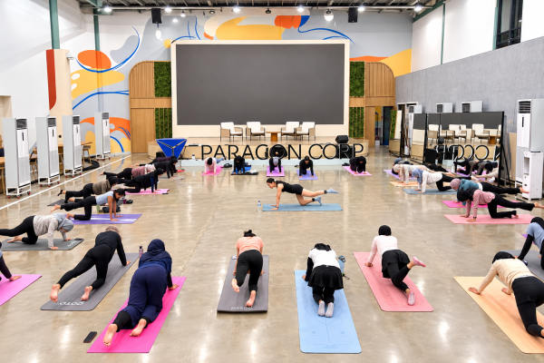 Paragon mat pilates Paragon mat pilates